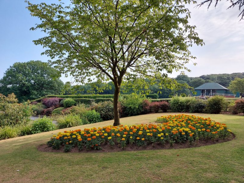 Graves Park up for Award